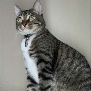 Meet your Posher, Amy